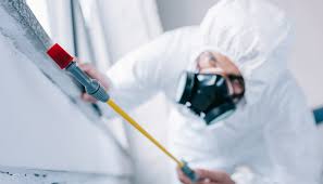 Best Fumigation Services  in USA